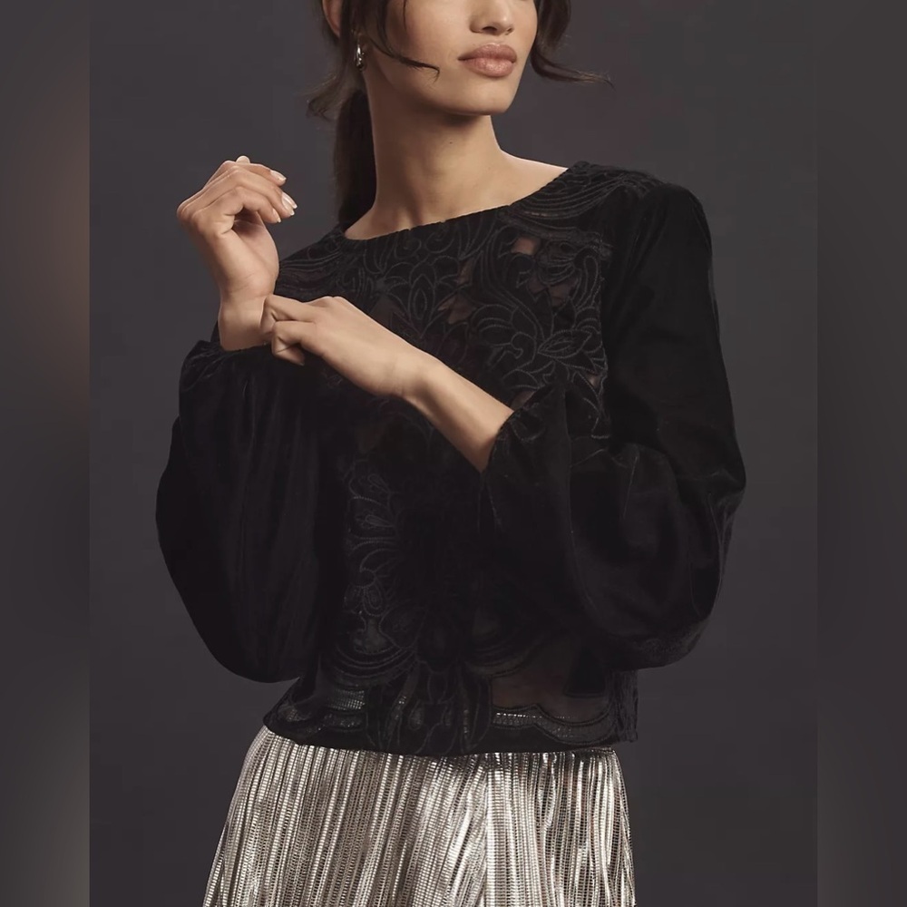 NWT Size L - The Lainie Long-Sleeve Lace Cutwork Blouse: Velvet (NWT US$ 158)